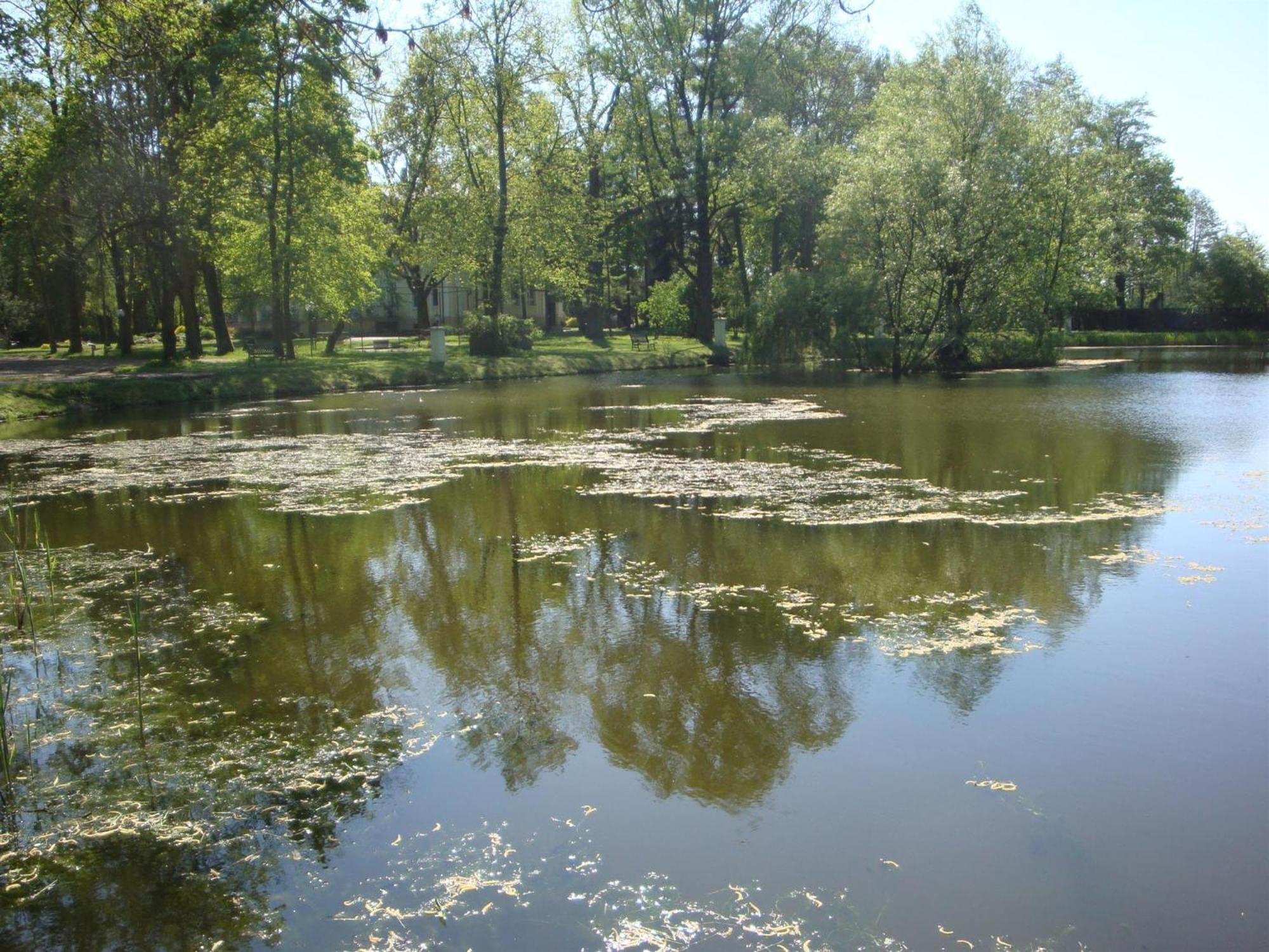 Palac Nieznanice Zabytek Goscinny Ze Spa Exterior foto